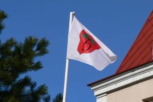 Flaga reklamowa, firmowa, z logo 120x80 cm