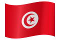 Tunezja flaga