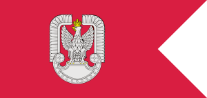 FLAGA SIŁ POWIETRZNYCH