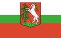 FLAGA Lublin