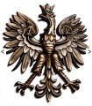 Orzeł z mosiądzu  25 cm