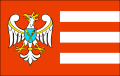 FLAGA Powiat gnieźnieński