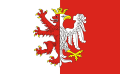 FLAGA Powiat łęczycki
