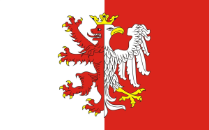 FLAGA Powiat łęczycki