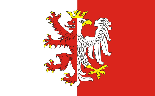 FLAGA Powiat łęczycki