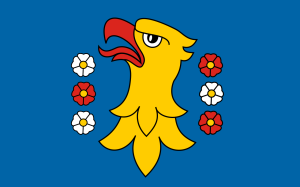 FLAGA Powiat pszczyński 