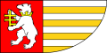 FLAGA Powiat radzyński
