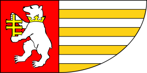 FLAGA Powiat radzyński