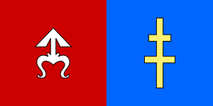 FLAGA Powiat skarżyski 