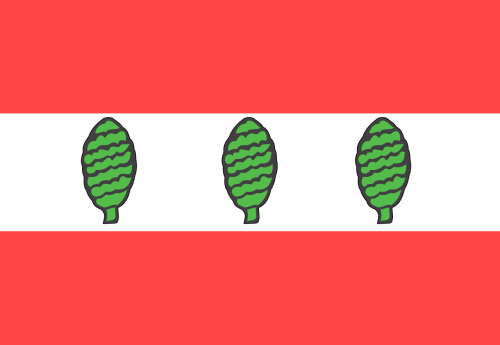 FLAGA Powiat sztumski