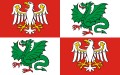 FLAGA Powiat warszawski zachodni
