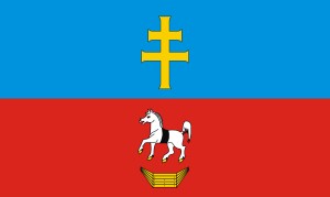FLAGA Powiat włoszczowski 