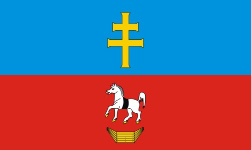 FLAGA Powiat włoszczowski 