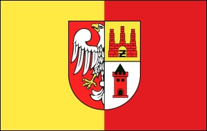 FLAGA Powiat żyrardowski