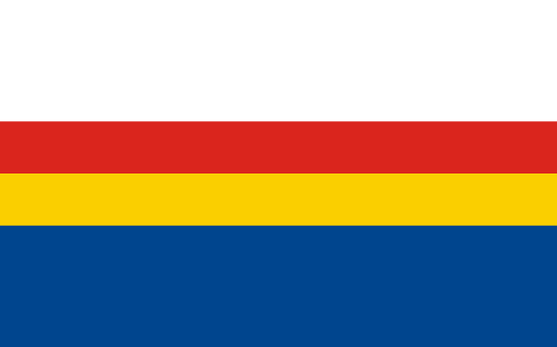 FLAGA Puławy