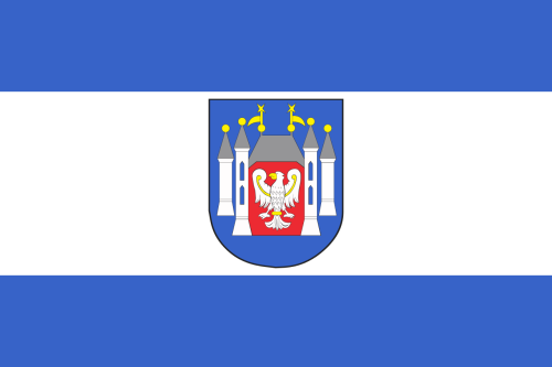 FLAGA Międzyrzecz