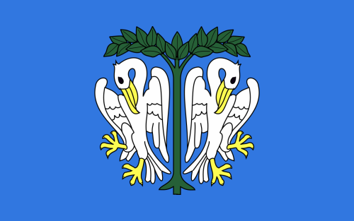 FLAGA Łowicz