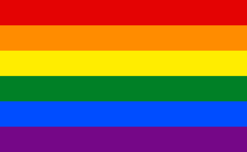 Flaga tęczowa/ LGBT