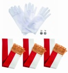 Zestaw dla pocztu sztandarowego (3 szarfy , 3 pary rękawiczek)